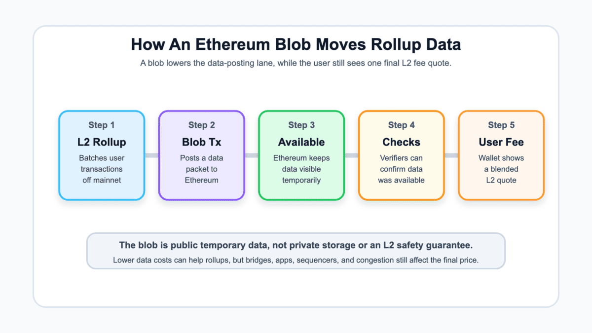 Diagram showing an L2 rollup batch becoming an Ethereum Blob transaction, temporary data availability, verifier checks, and a final blended L2 fee