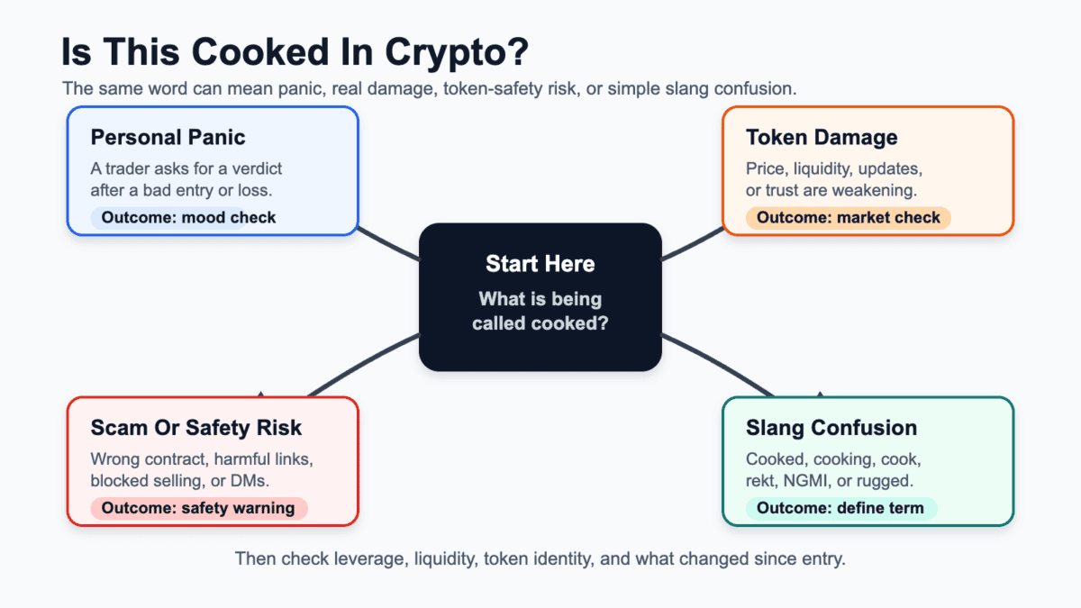 Decision map showing cooked in crypto split into personal panic, token damage, scam risk, and slang confusion