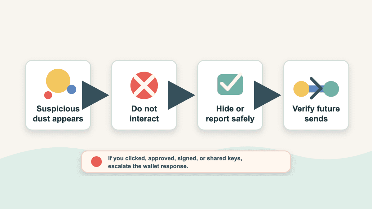 Flowchart showing suspicious wallet dust moving through a safe response path: do not interact, hide or report safely, and verify future sends