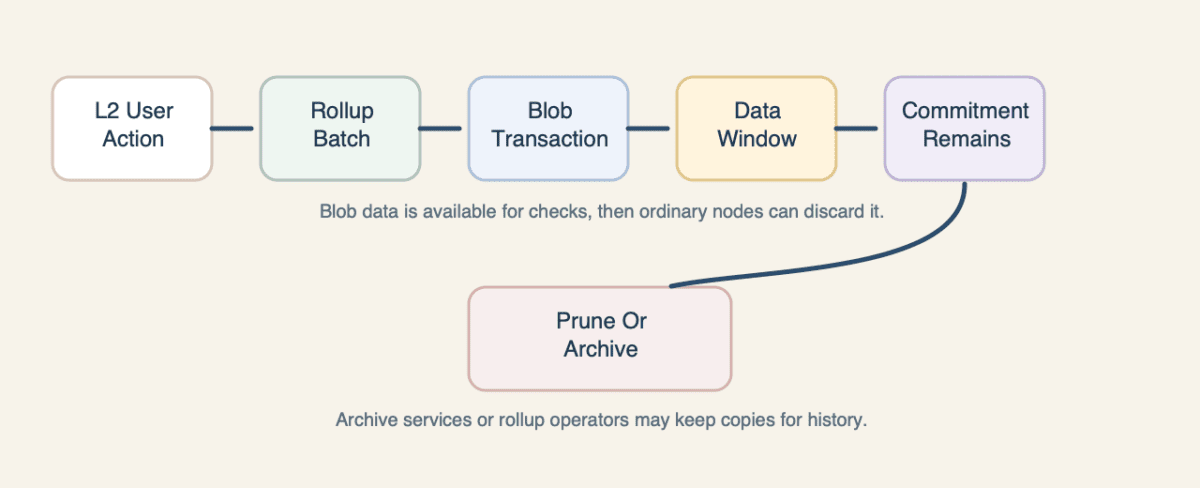 Flow diagram showing an L2 user action becoming a rollup batch, blob transaction, temporary availability window, commitment record, and pruning or archive path
