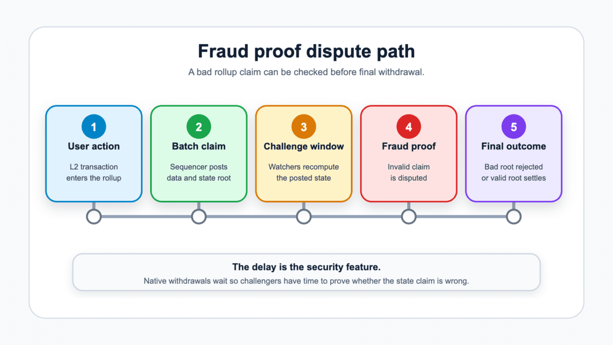 Process diagram showing a fraud proof dispute path from user action through batch claim, challenge window, dispute, and final outcome