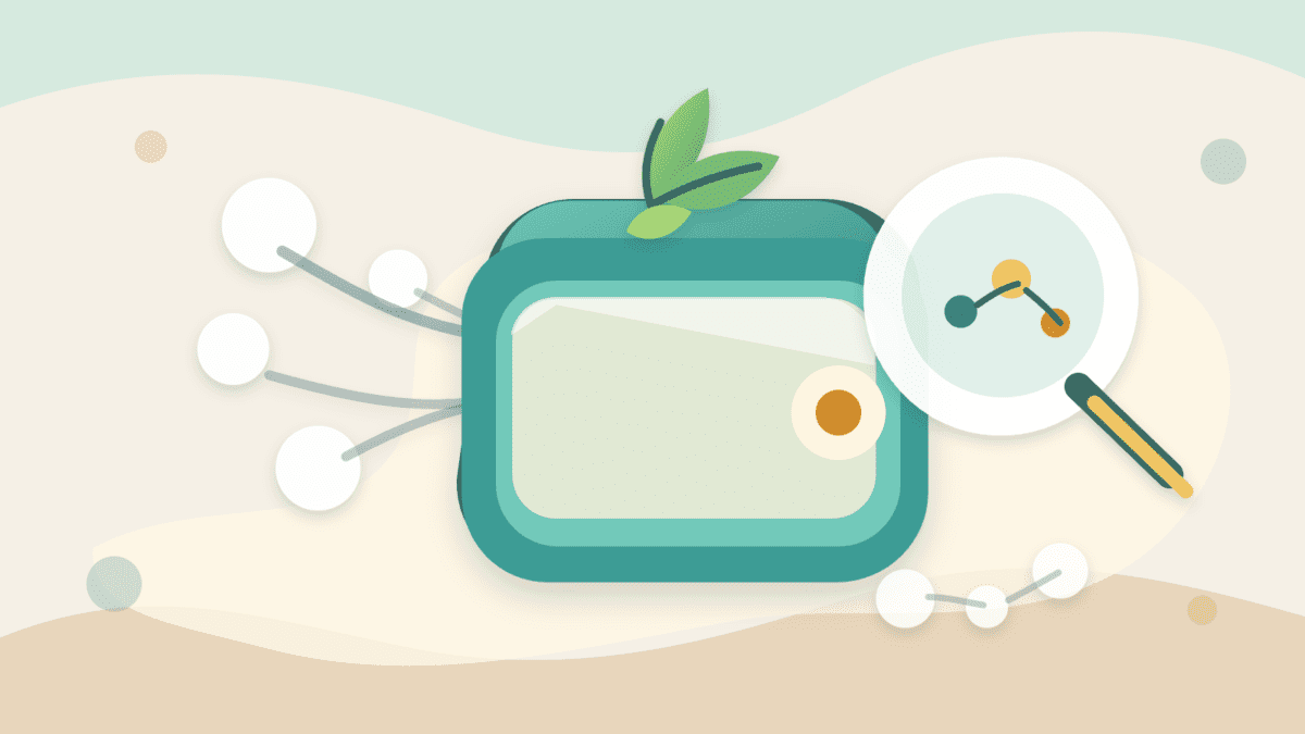 Layered paper illustration of a fresh crypto wallet with new growth, funding paths, and a magnifying glass inspecting wallet links
