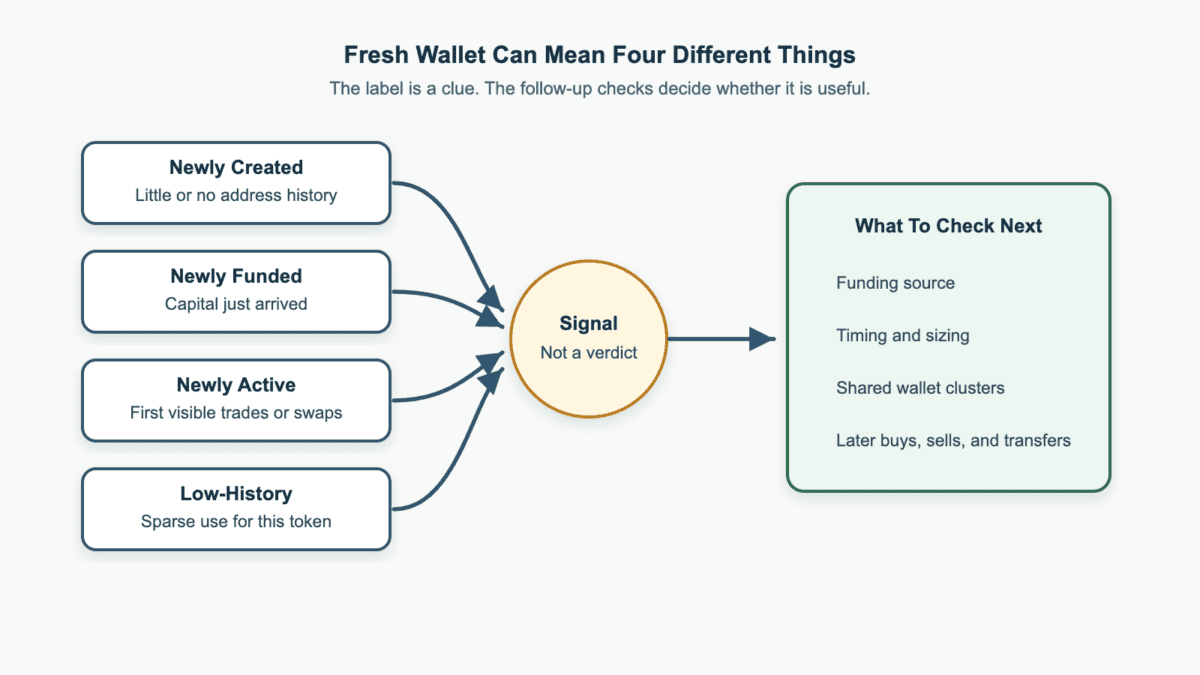 Flow diagram showing four fresh wallet meanings: newly created, newly funded, newly active, and low-history, followed by checks for funding source, timing, clustering, and later behavior