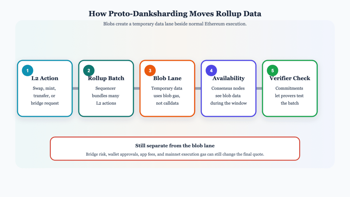 Five-part diagram showing an L2 action, rollup batch, blob data lane, Ethereum availability window, and verifier check
