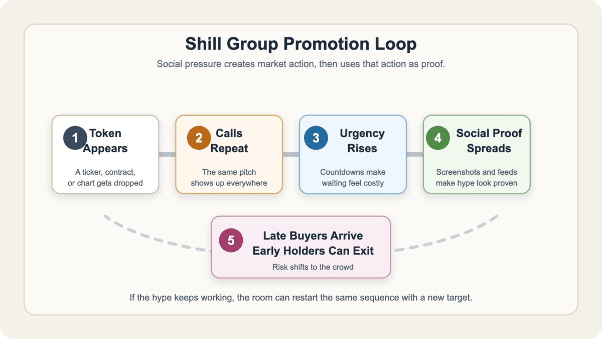 Numbered diagram showing five shill group promotion stages: token appears, calls repeat, urgency rises, social proof spreads, and late buyers arrive as early holders can exit