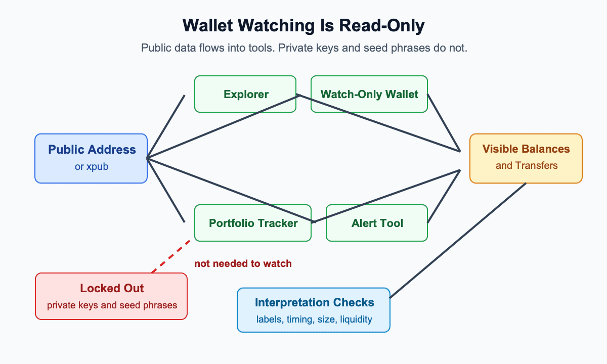 Flow diagram showing wallet watching as a public address or xpub moving through explorers, watch-only wallets, portfolio trackers, and alert tools into visible balances and interpretation checks